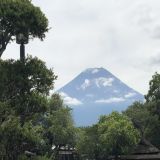 家教