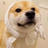 家教