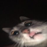 家教
