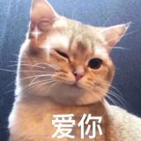 家教