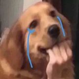 家教