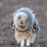 家教