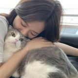 家教
