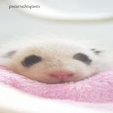 家教