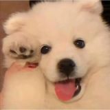家教