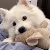 家教