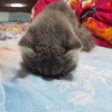 家教