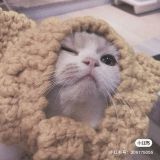 家教