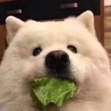 家教