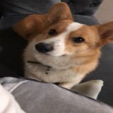 家教