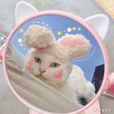 家教