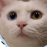 家教