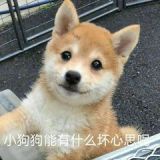 家教