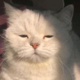 家教
