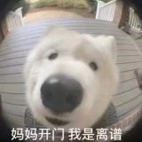 家教