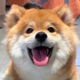 家教