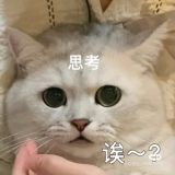 家教