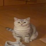 家教