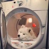 家教