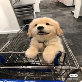 家教
