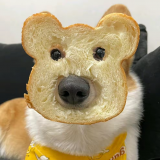 家教