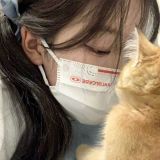 家教 家教