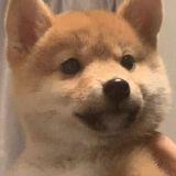 家教