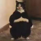 家教