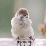 家教