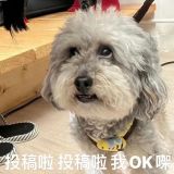 家教