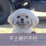 家教