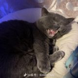 家教