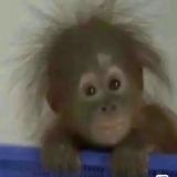 家教
