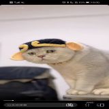 家教