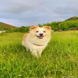 家教