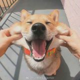 家教