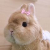 家教