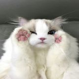 家教 家教