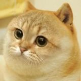 家教