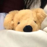 家教