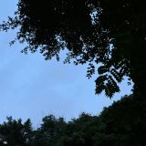 家教 家教