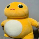 家教 家教