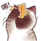家教 家教