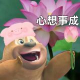 家教 家教