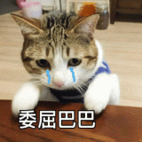 家教