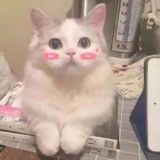 家教