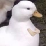 家教