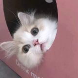 家教